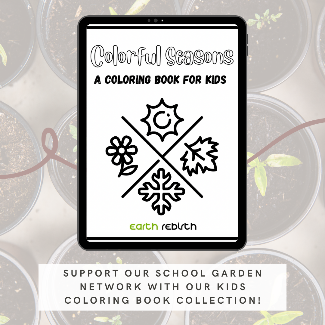 Colorful Season Coloring Book for Kids