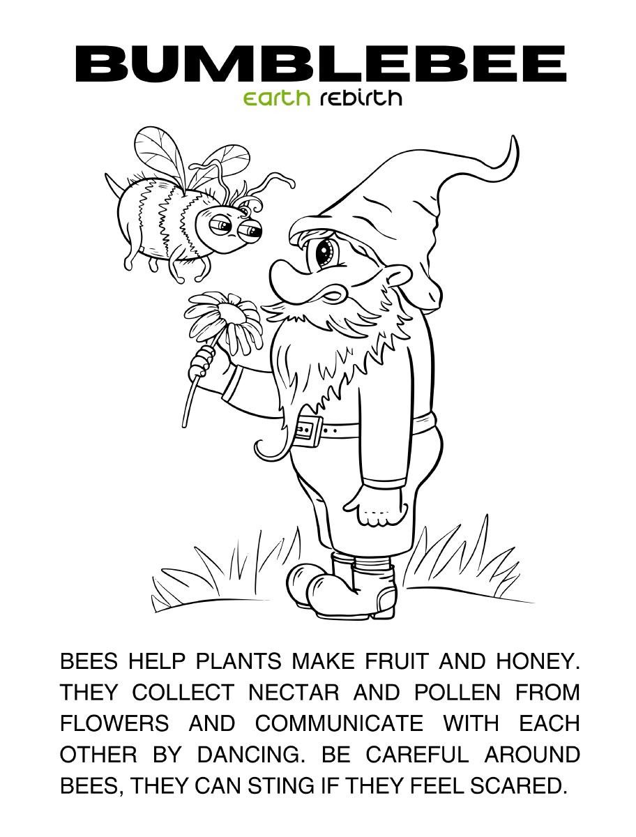 Buzzing Bugs & Helpful Insects Coloring Book