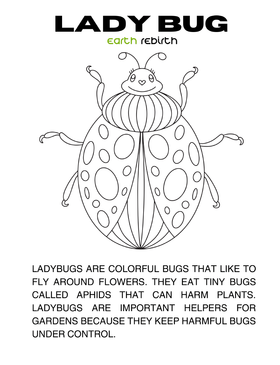 Buzzing Bugs & Helpful Insects Coloring Book