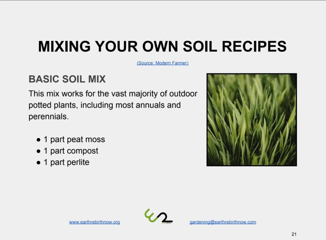 E-BOOK: Gardening at Home with Your Children - Earth Rebirth